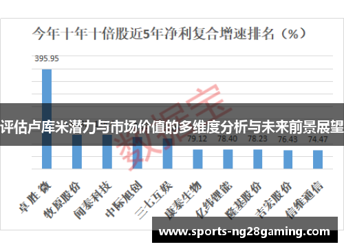 评估卢库米潜力与市场价值的多维度分析与未来前景展望