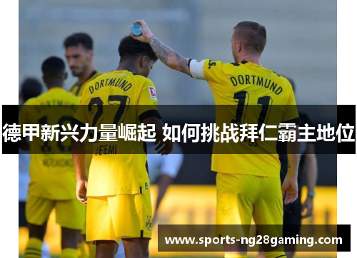 德甲新兴力量崛起 如何挑战拜仁霸主地位