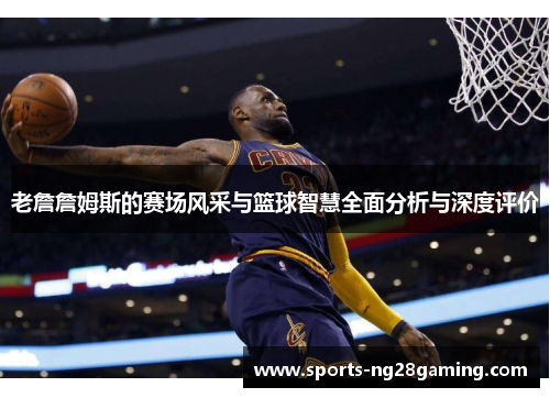 老詹詹姆斯的赛场风采与篮球智慧全面分析与深度评价