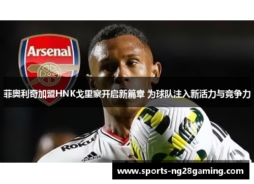 菲奥利奇加盟HNK戈里察开启新篇章 为球队注入新活力与竞争力 菲奥利奇加盟HNK戈里察开启新篇章 为球队注入新活力与竞争力