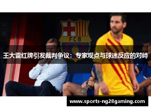 王大雷红牌引发裁判争议：专家观点与球迷反应的对峙