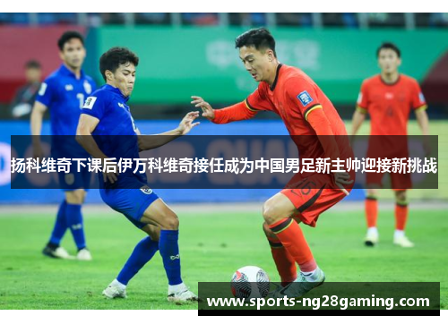 扬科维奇下课后伊万科维奇接任成为中国男足新主帅迎接新挑战
