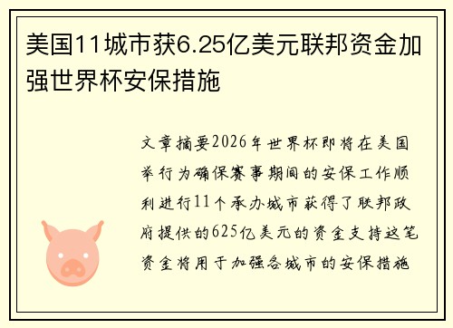 美国11城市获6.25亿美元联邦资金加强世界杯安保措施