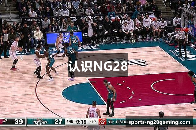 认识NG28